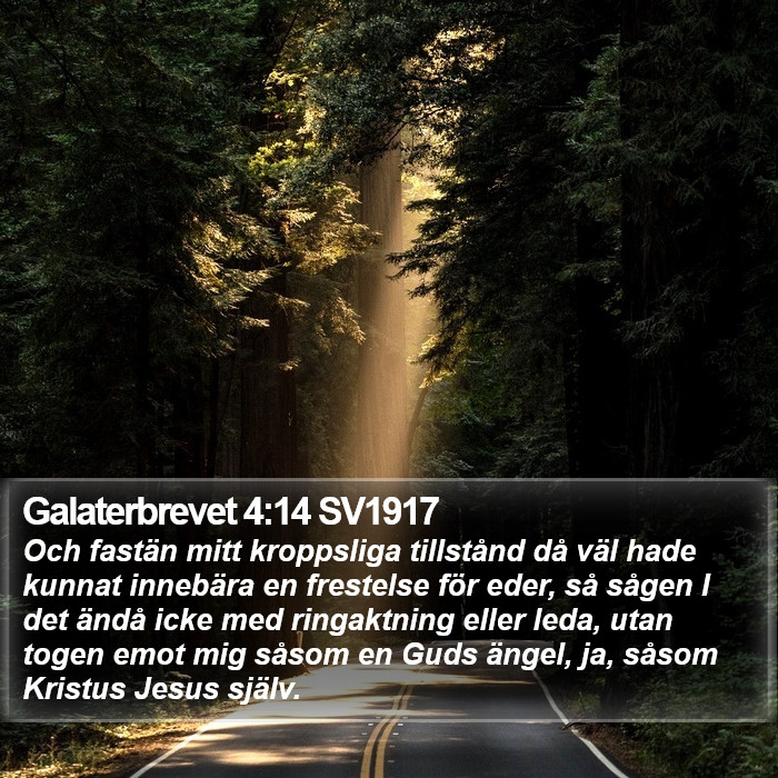 Galaterbrevet 4:14 SV1917 Bible Study