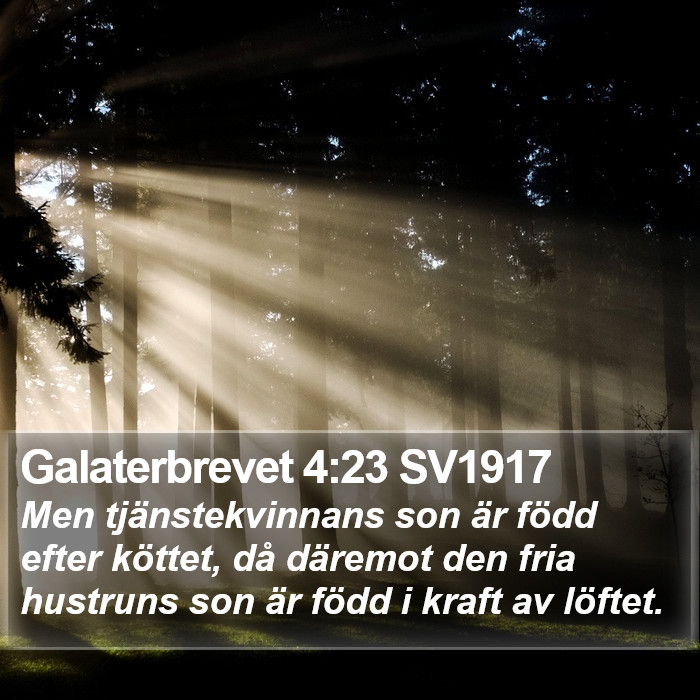 Galaterbrevet 4:23 SV1917 Bible Study