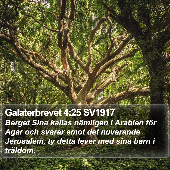 Galaterbrevet 4:25 SV1917 Bible Study