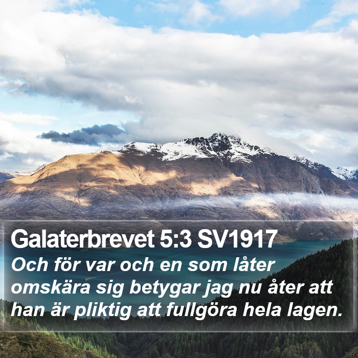 Galaterbrevet 5:3 SV1917 Bible Study