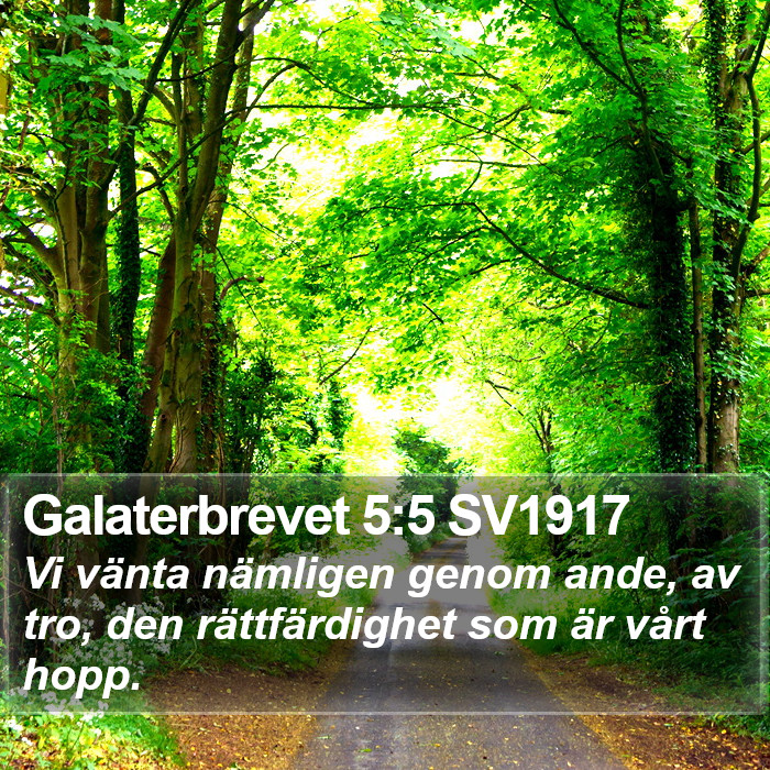 Galaterbrevet 5:5 SV1917 Bible Study