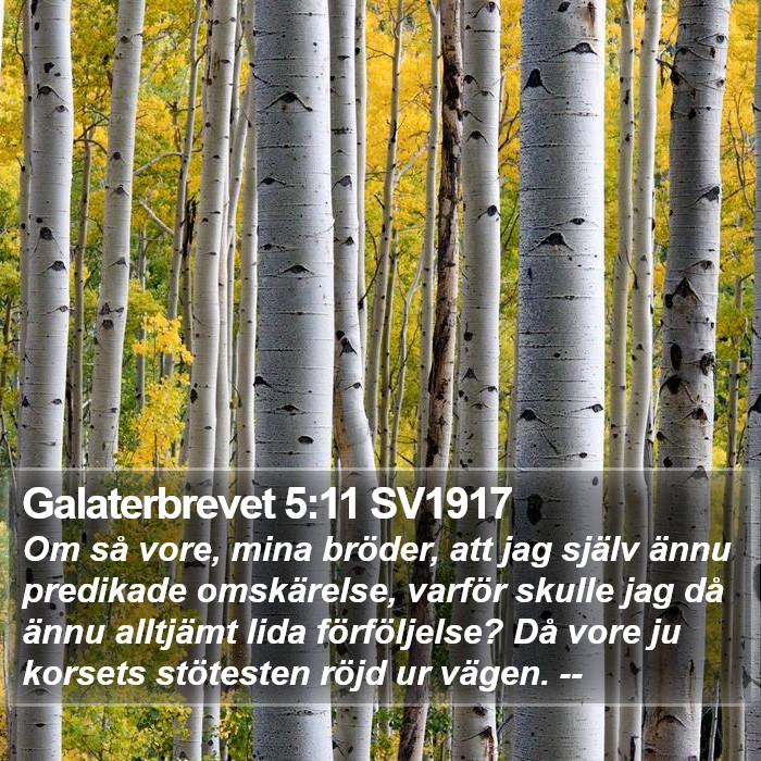 Galaterbrevet 5:11 SV1917 Bible Study