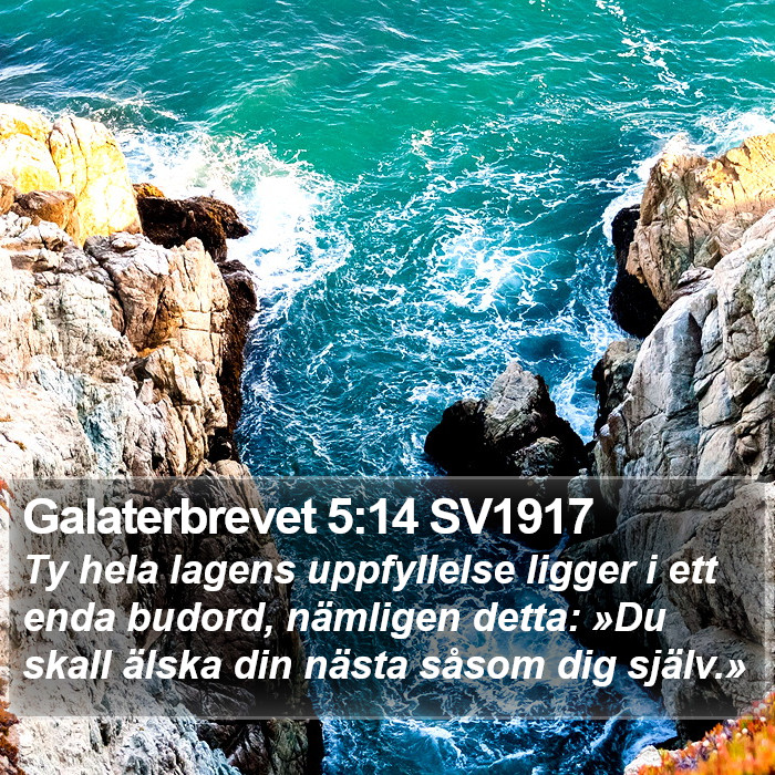 Galaterbrevet 5:14 SV1917 Bible Study