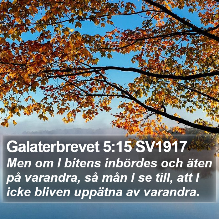 Galaterbrevet 5:15 SV1917 Bible Study