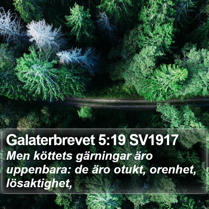 Galaterbrevet 5:19 SV1917 Bible Study