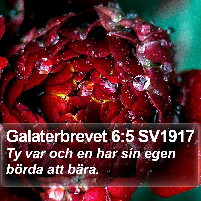 Galaterbrevet 6:5 SV1917 Bible Study