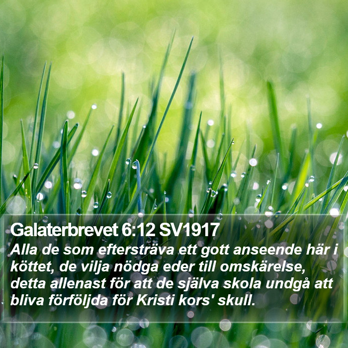 Galaterbrevet 6:12 SV1917 Bible Study