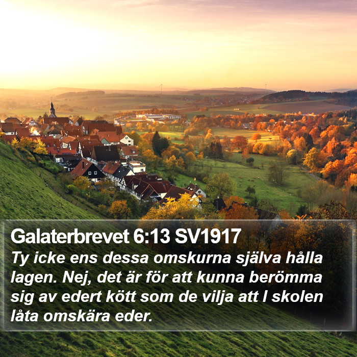 Galaterbrevet 6:13 SV1917 Bible Study
