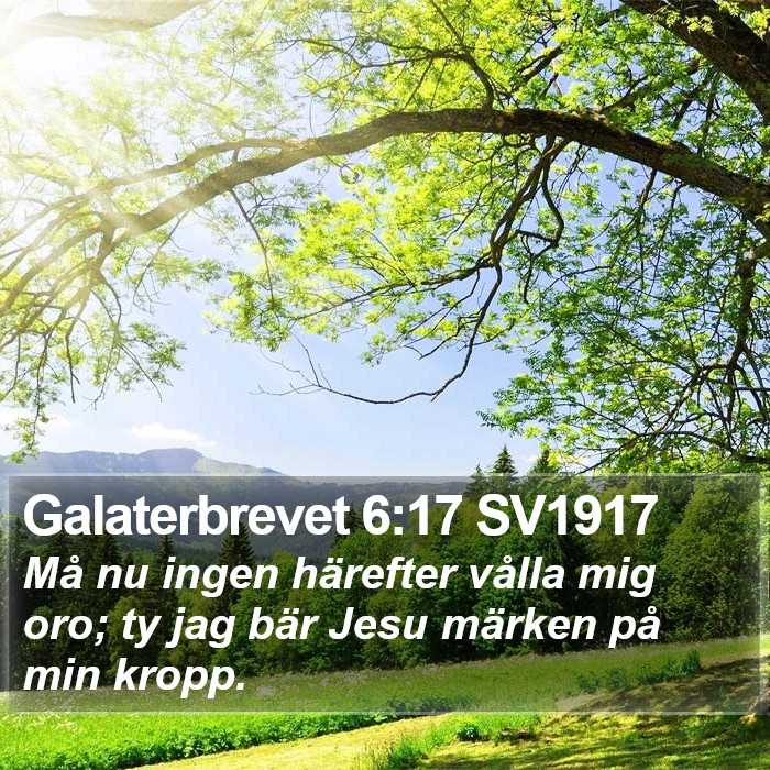 Galaterbrevet 6:17 SV1917 Bible Study