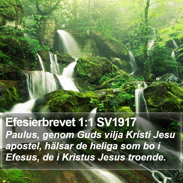 Efesierbrevet 1:1 SV1917 Bible Study