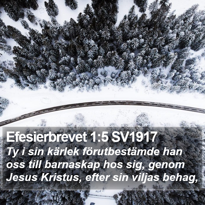 Efesierbrevet 1:5 SV1917 Bible Study