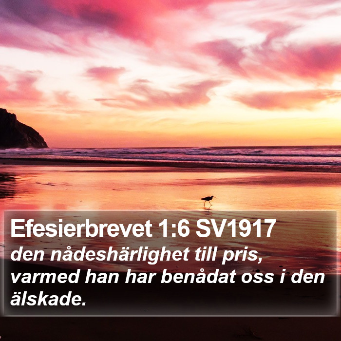 Efesierbrevet 1:6 SV1917 Bible Study