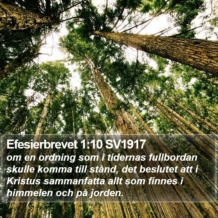 Efesierbrevet 1:10 SV1917 Bible Study