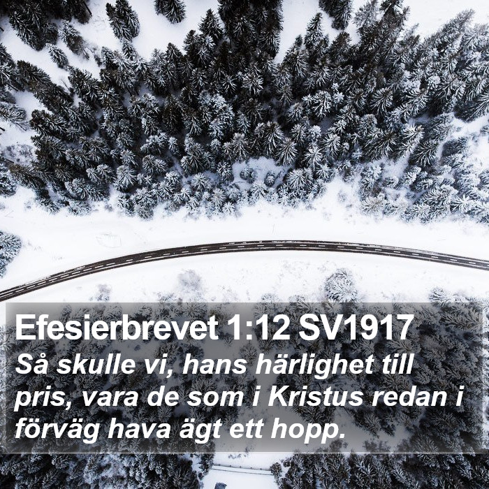 Efesierbrevet 1:12 SV1917 Bible Study