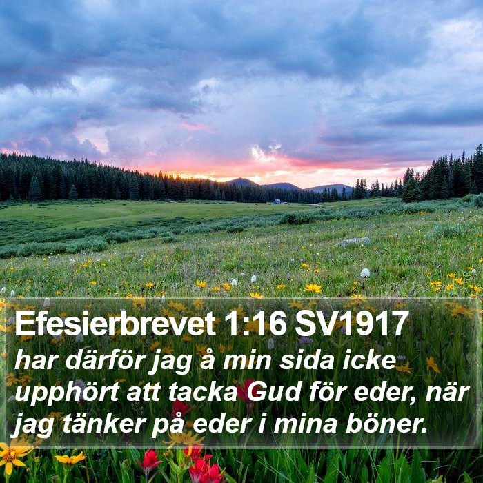 Efesierbrevet 1:16 SV1917 Bible Study