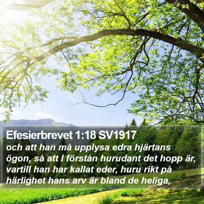 Efesierbrevet 1:18 SV1917 Bible Study