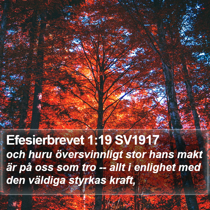 Efesierbrevet 1:19 SV1917 Bible Study