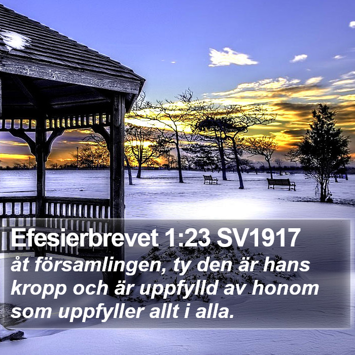 Efesierbrevet 1:23 SV1917 Bible Study