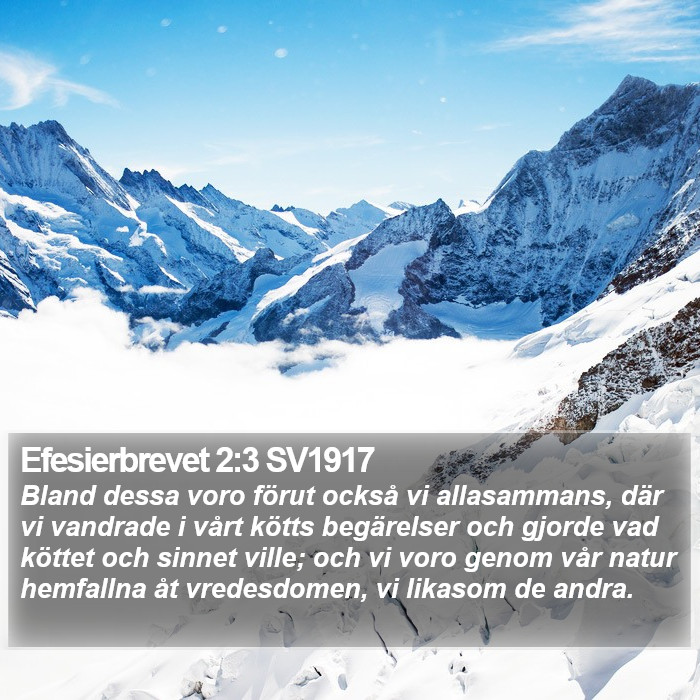 Efesierbrevet 2:3 SV1917 Bible Study