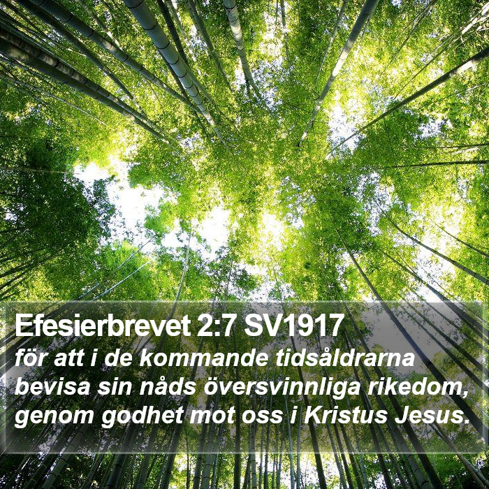 Efesierbrevet 2:7 SV1917 Bible Study