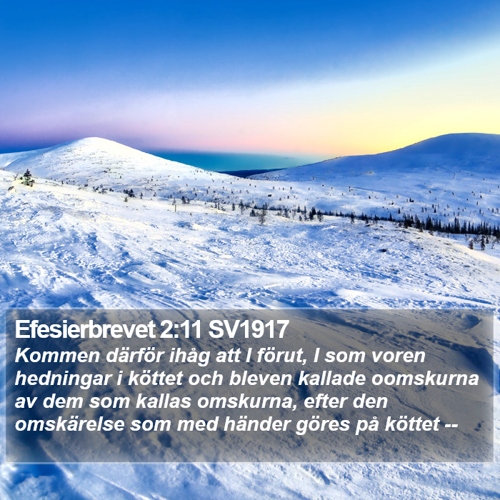 Efesierbrevet 2:11 SV1917 Bible Study