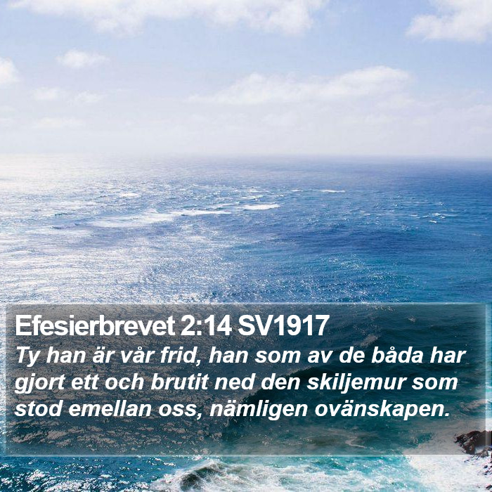 Efesierbrevet 2:14 SV1917 Bible Study