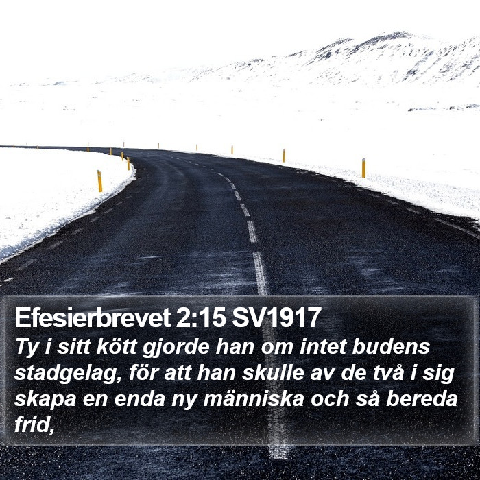 Efesierbrevet 2:15 SV1917 Bible Study