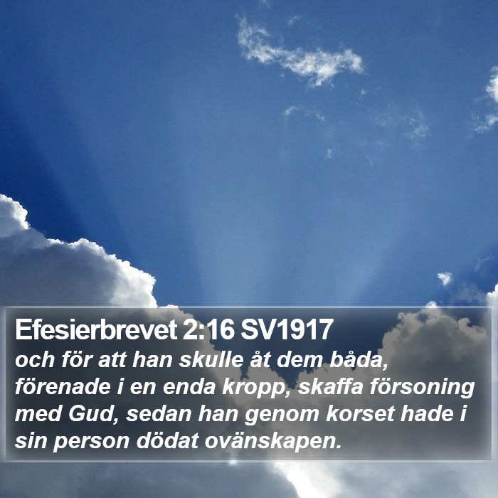 Efesierbrevet 2:16 SV1917 Bible Study