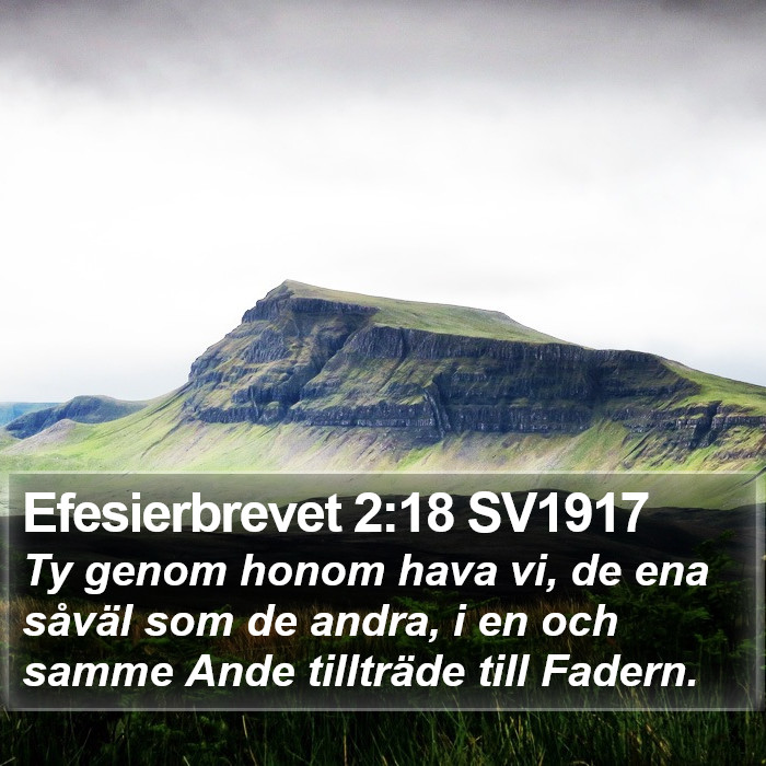 Efesierbrevet 2:18 SV1917 Bible Study