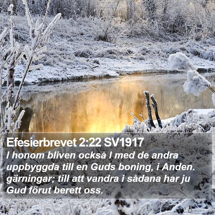 Efesierbrevet 2:22 SV1917 Bible Study