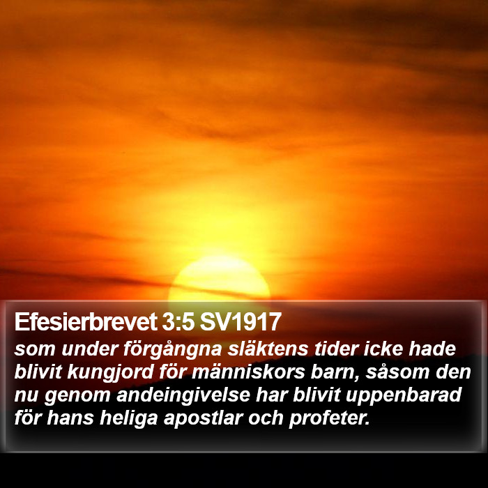 Efesierbrevet 3:5 SV1917 Bible Study