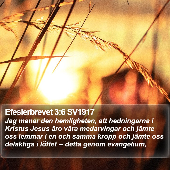 Efesierbrevet 3:6 SV1917 Bible Study