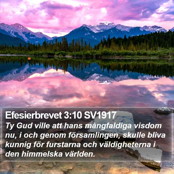 Efesierbrevet 3:10 SV1917 Bible Study