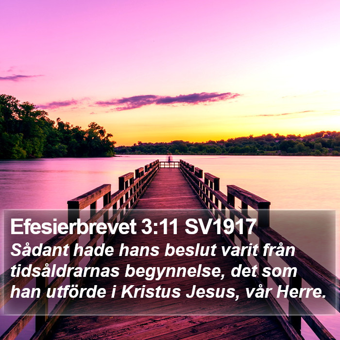 Efesierbrevet 3:11 SV1917 Bible Study