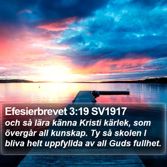 Efesierbrevet 3:19 SV1917 Bible Study