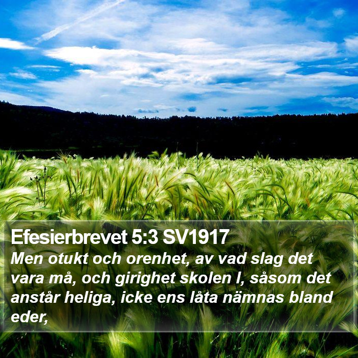 Efesierbrevet 5:3 SV1917 Bible Study