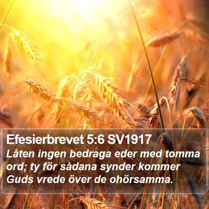 Efesierbrevet 5:6 SV1917 Bible Study