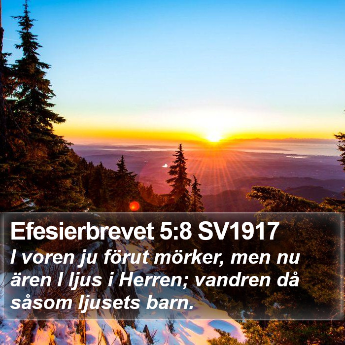 Efesierbrevet 5:8 SV1917 Bible Study