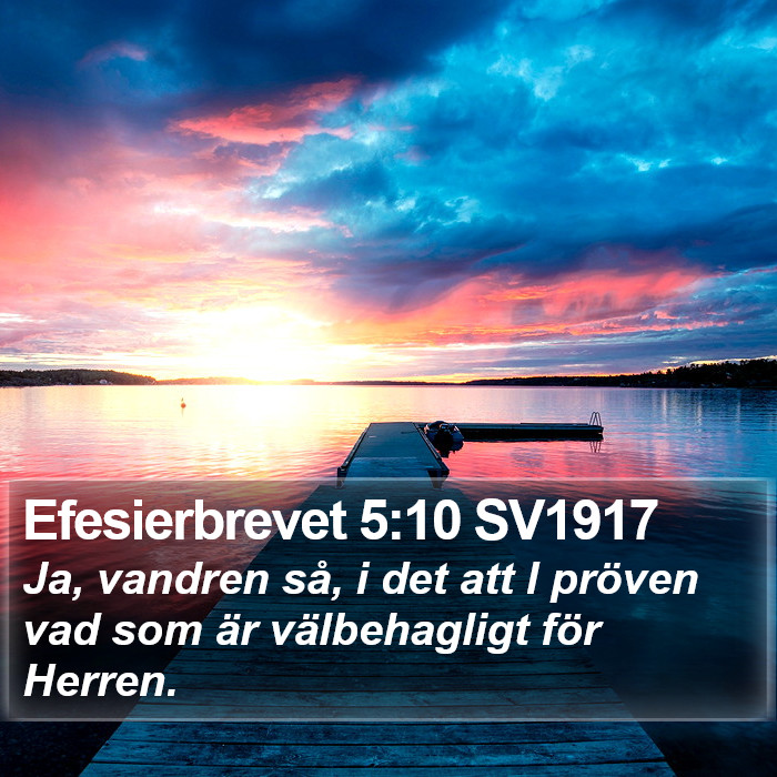 Efesierbrevet 5:10 SV1917 Bible Study