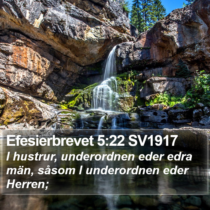 Efesierbrevet 5:22 SV1917 Bible Study