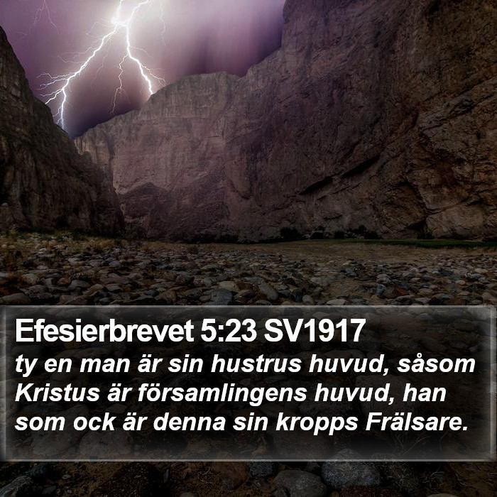 Efesierbrevet 5:23 SV1917 Bible Study