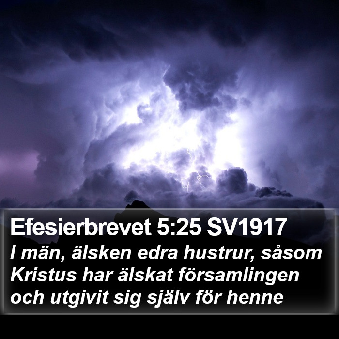 Efesierbrevet 5:25 SV1917 Bible Study