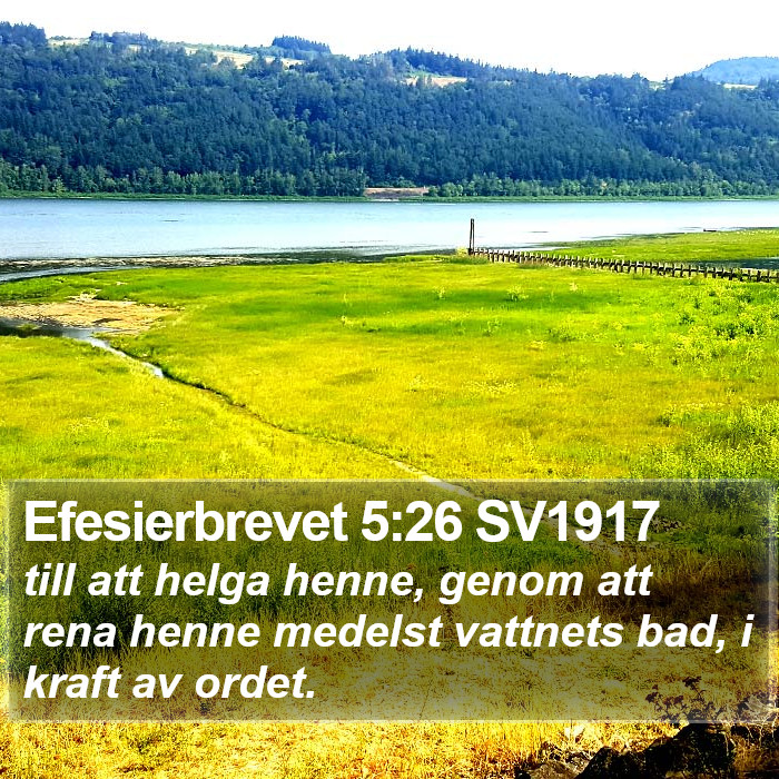 Efesierbrevet 5:26 SV1917 Bible Study