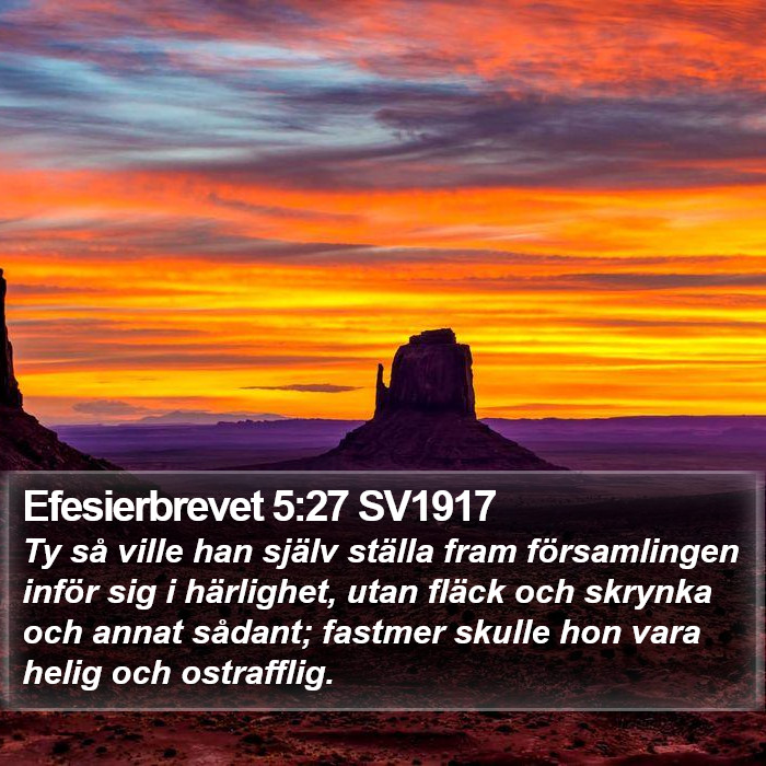 Efesierbrevet 5:27 SV1917 Bible Study