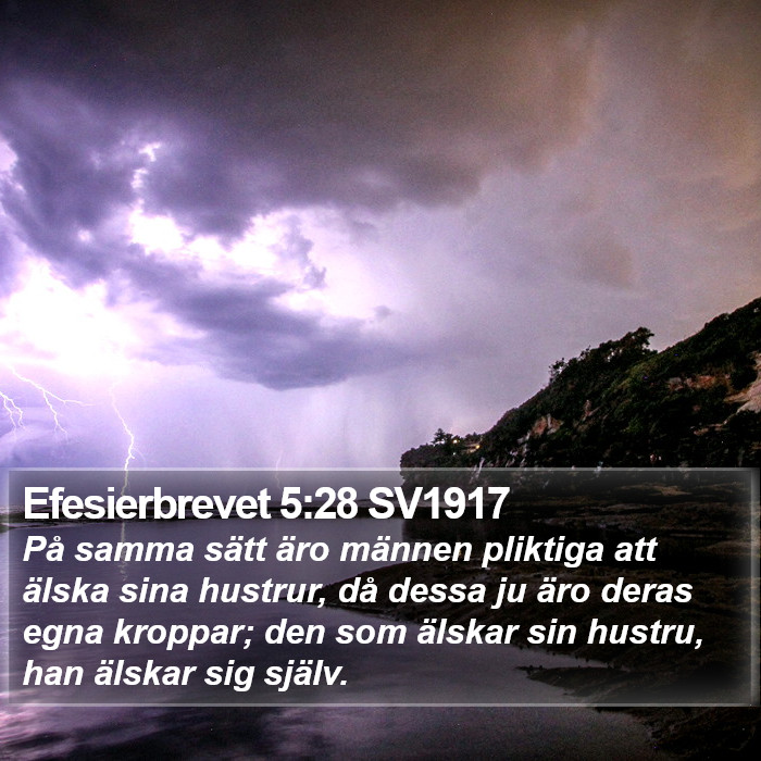 Efesierbrevet 5:28 SV1917 Bible Study