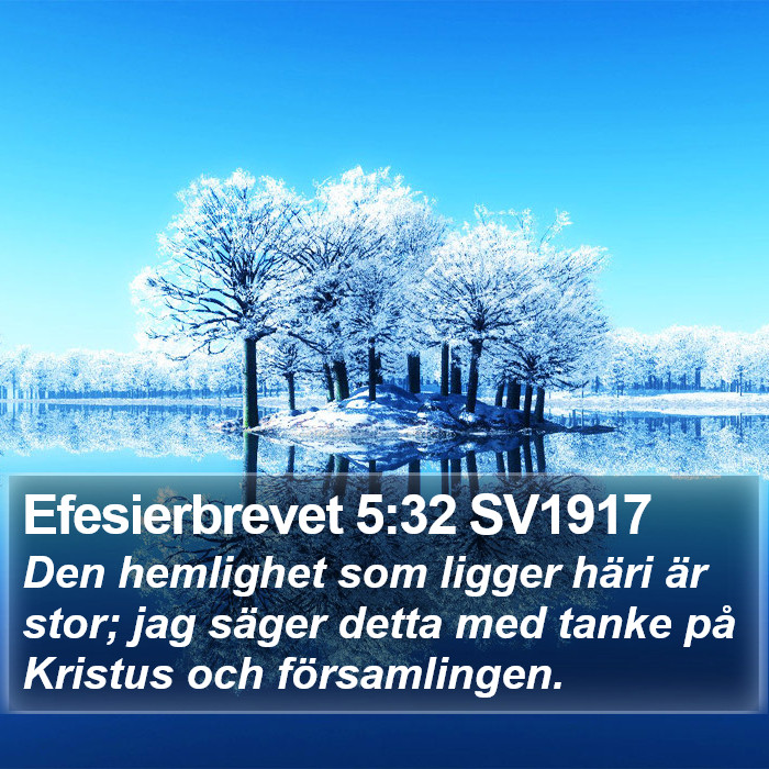 Efesierbrevet 5:32 SV1917 Bible Study