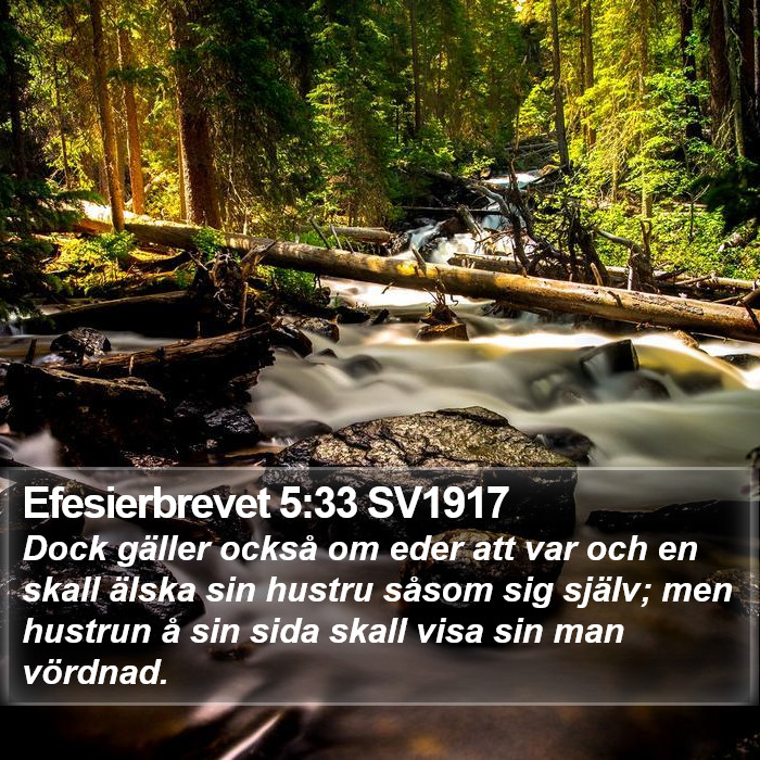 Efesierbrevet 5:33 SV1917 Bible Study