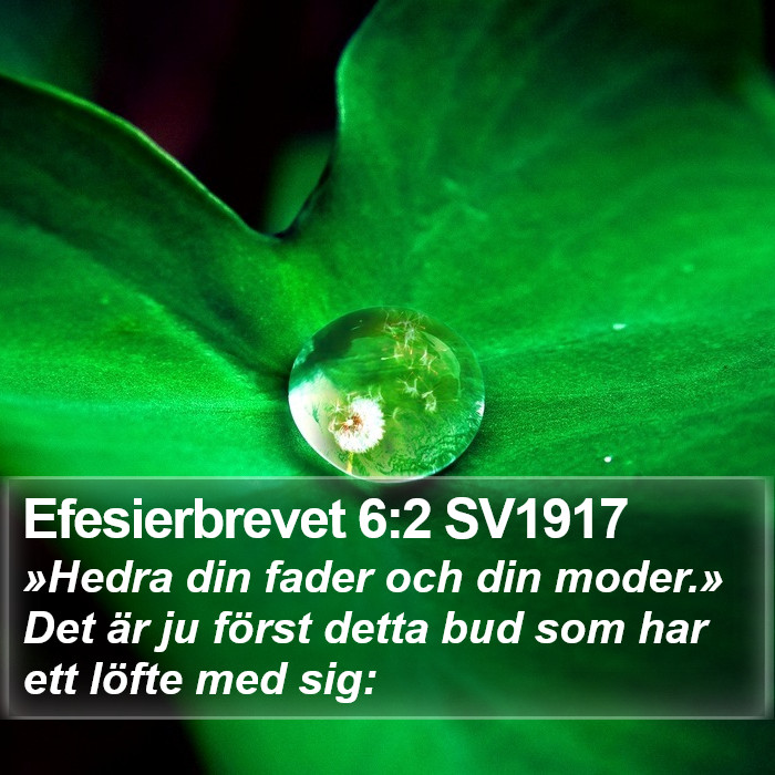 Efesierbrevet 6:2 SV1917 Bible Study