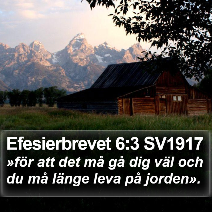 Efesierbrevet 6:3 SV1917 Bible Study