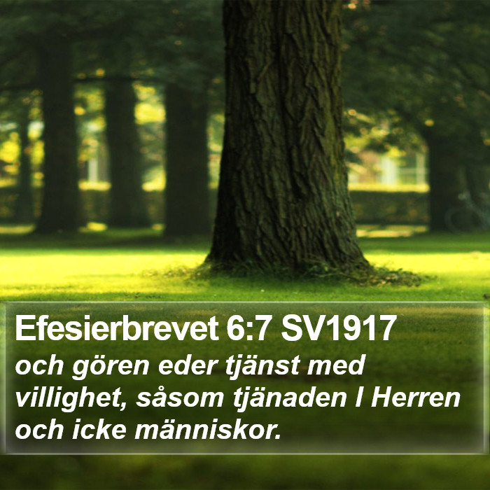 Efesierbrevet 6:7 SV1917 Bible Study